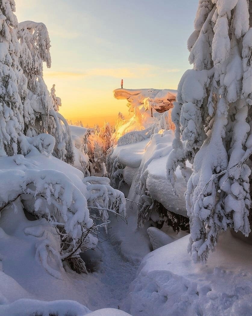 Калашников В.В