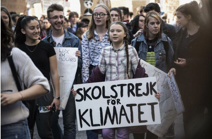 Фото из яндекс картинок 