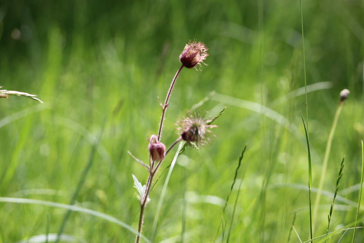 Фото автора @art_earsel 