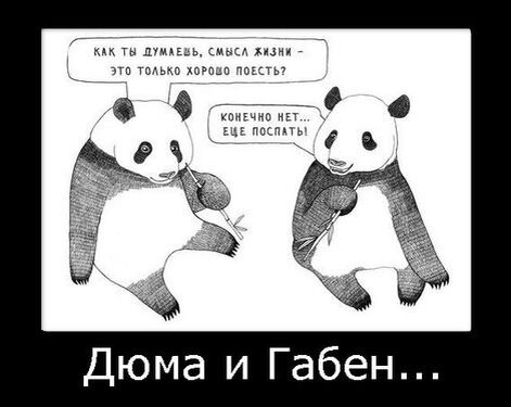 Соционический демотиватор с сайта humo.ru :)