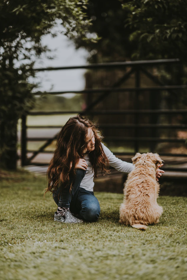https://unsplash.com/photos/GDudxXAp4Go