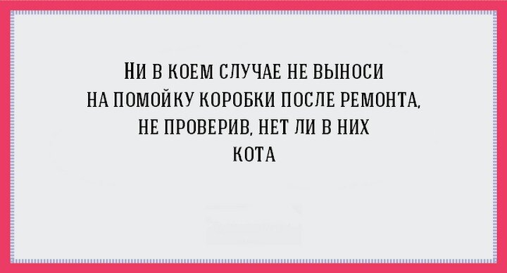 Ремонт шутка. Высказывания про ремонт. Цитаты про ремонт смешные. Статусы про ремонт прикольные. Анекдоты про ремонт в квартире.