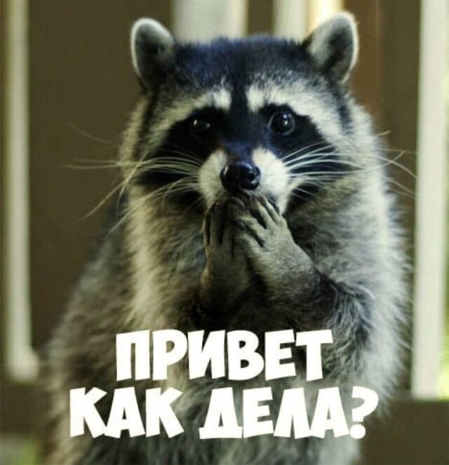 Источник: https://memasi.club