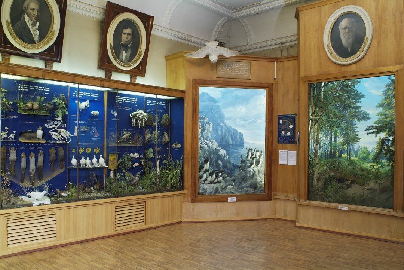 Музей им тимирязева