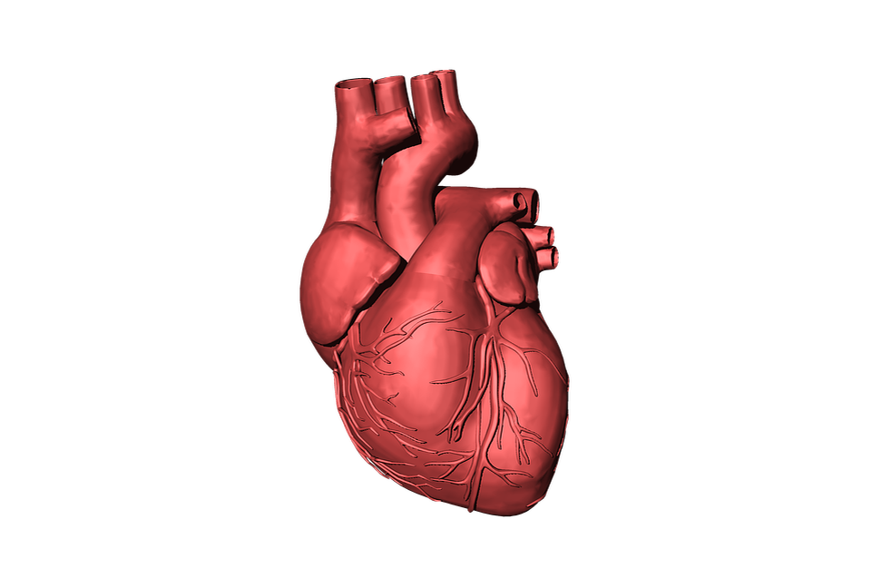 https://cdn.pixabay.com/photo/2016/10/24/03/37/heart-1765298_960_720.png