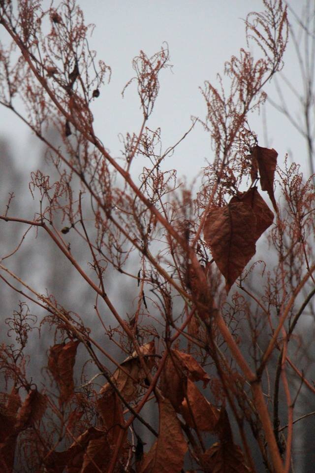 фотография Яны Берг