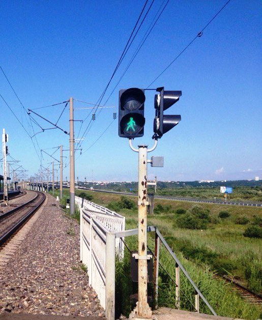 Пусть вам всегда будет зелёный свет! Фото автора.