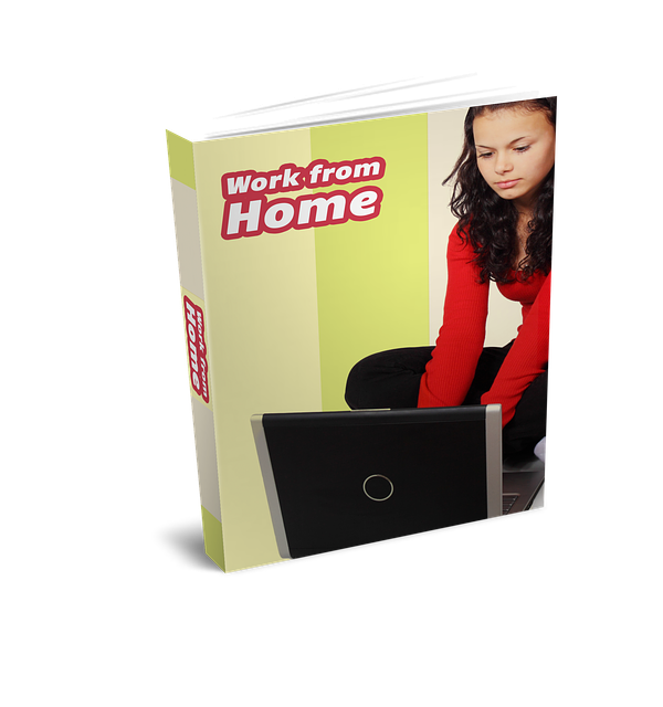 pixabay.com/photos/book-cover-publish-a-book-online-2703449/