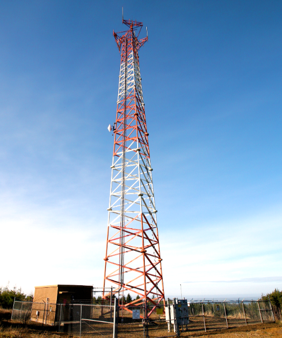 Строительство башни занимает от 2 месяцев