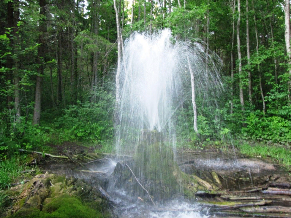 Гатчинский гейзер фото