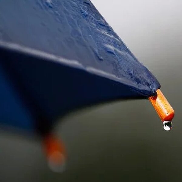 https://cdn.pixabay.com/photo/2016/07/13/11/54/rain-1514257__340.jpg