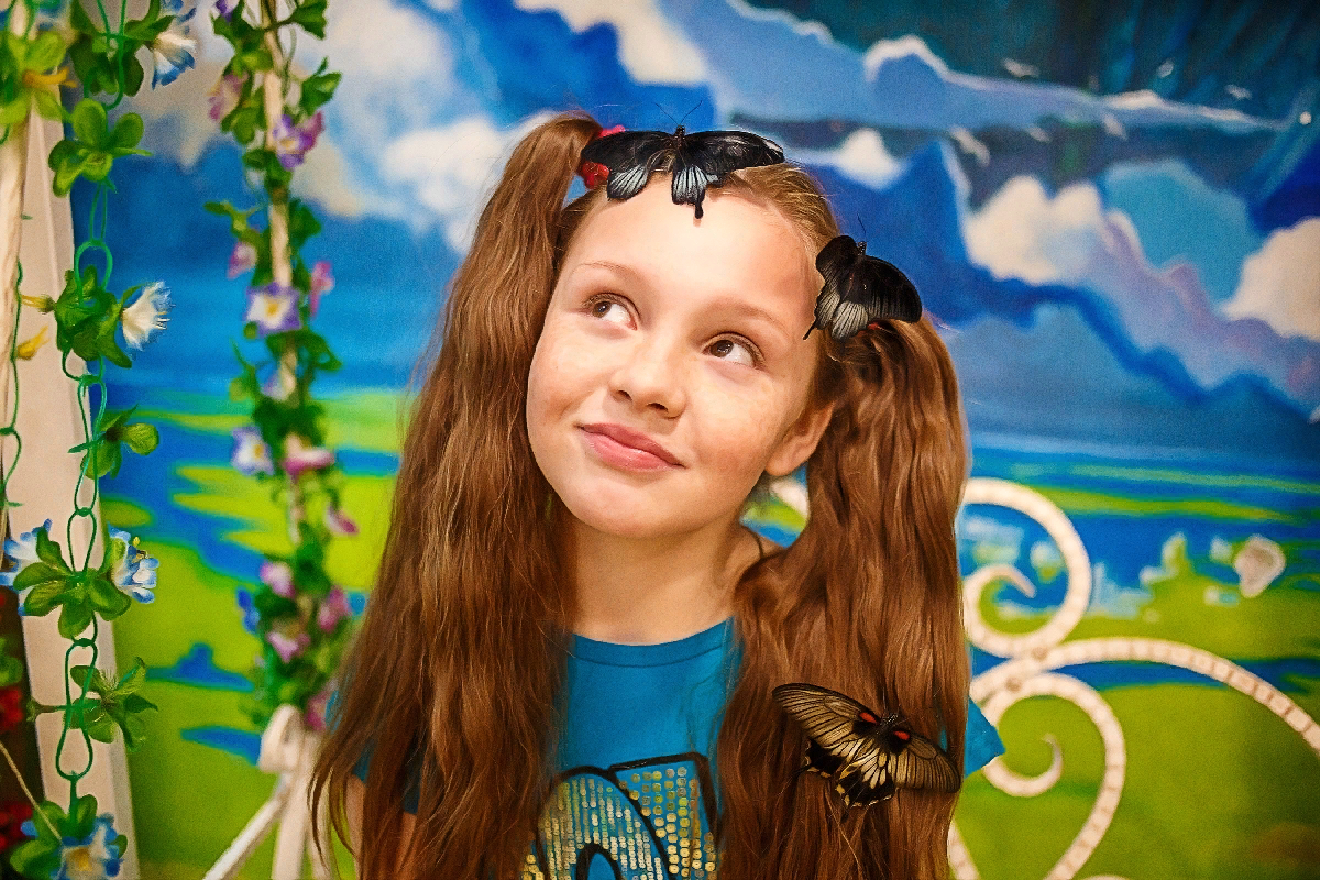 Музеи и аттракционы Big Funny