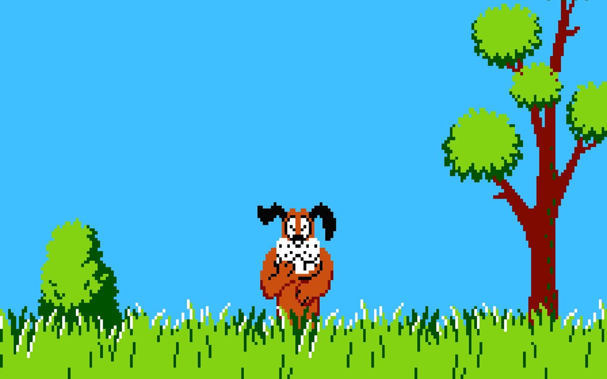 Duck Hunt игра