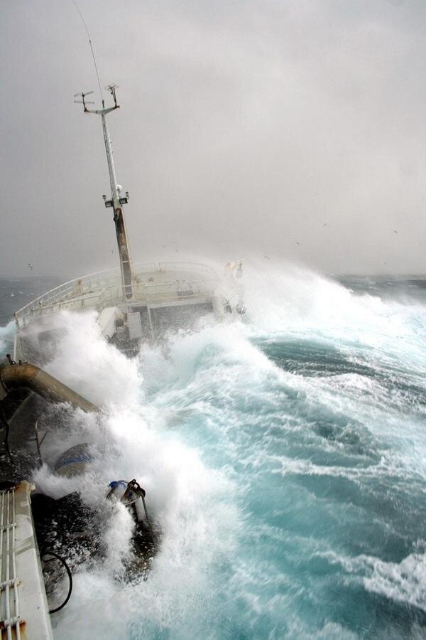 Яндекс. Картинки