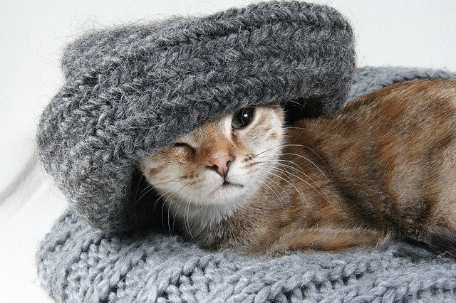 фото из открытых источников.