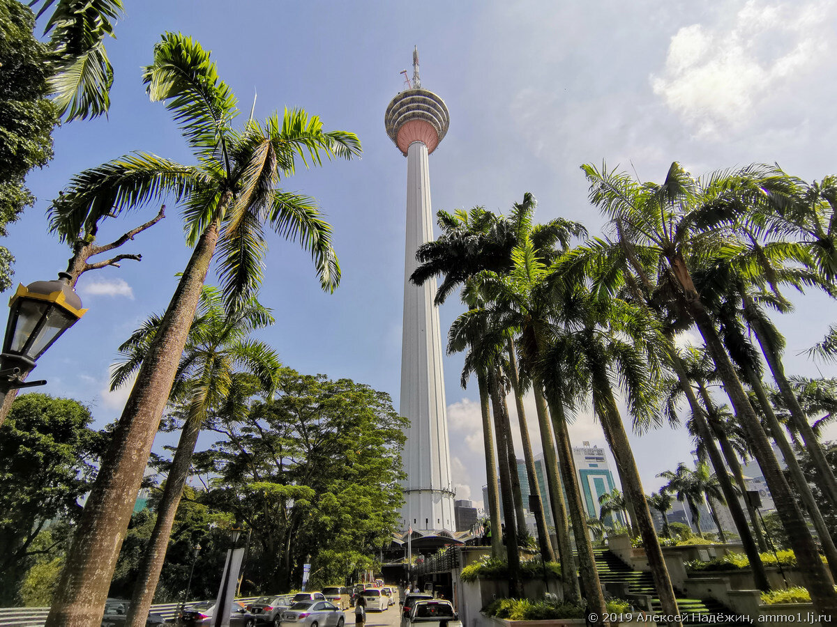 Устройство малайзии. Плантация пальм Куала Лумпур. Малайзия штат Димоха. Теренггану Куала-Лумпур. Сингапур башни.