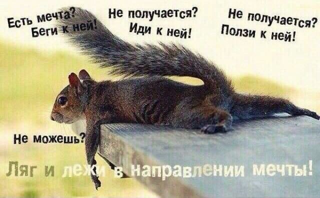 Изображение из Яндекс Картинки