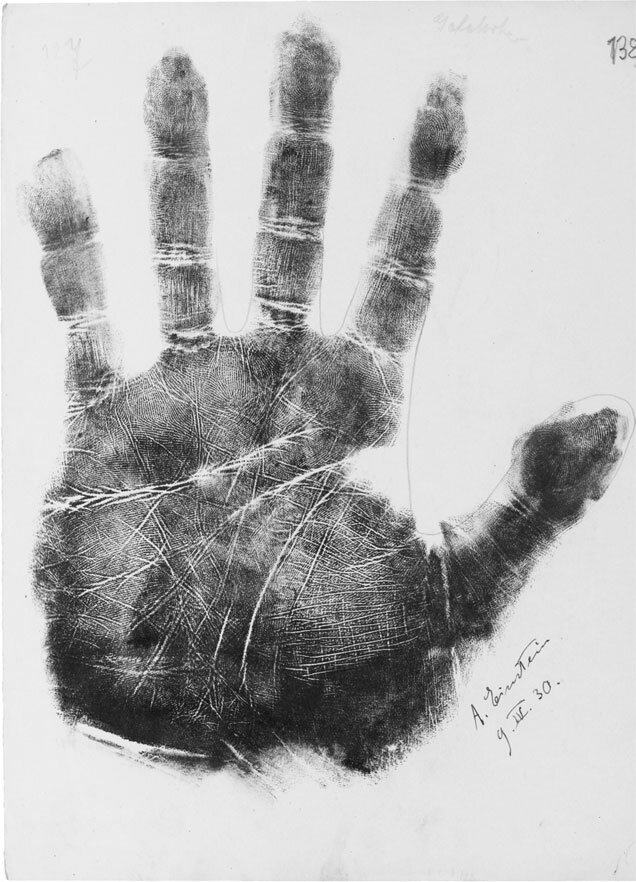 отпечаток руки Эйнштейна с сетью линий на ладони