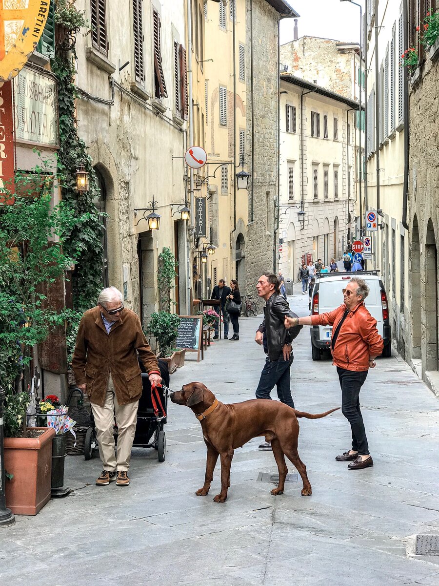 На улицах Ареццо