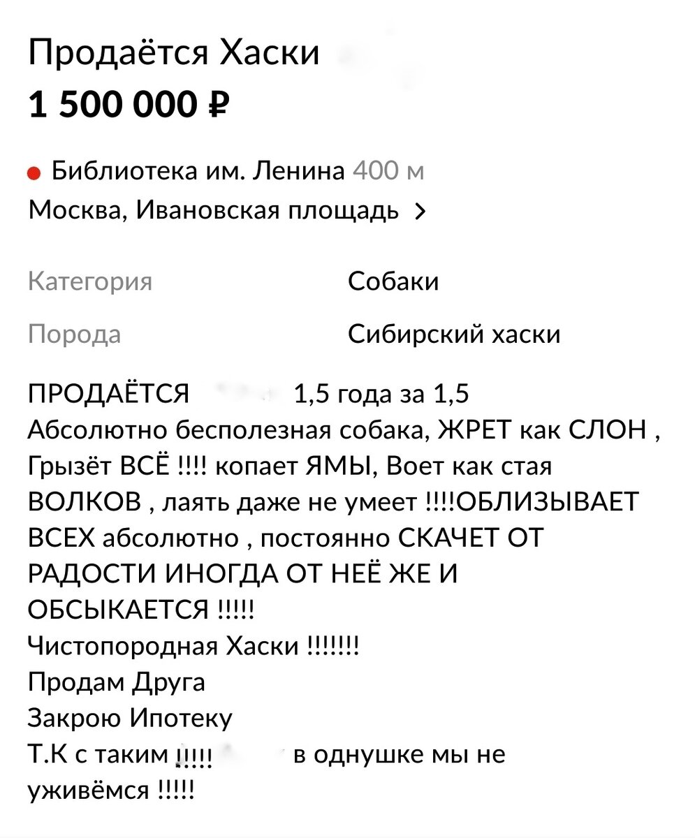 Источник фото: авито