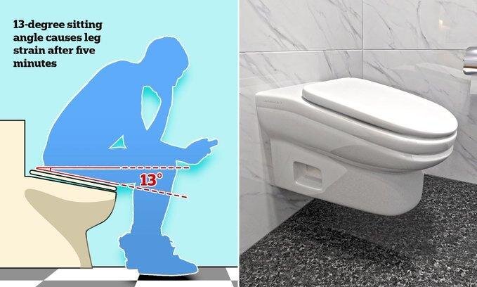 Специальный унитаз StandardToilet