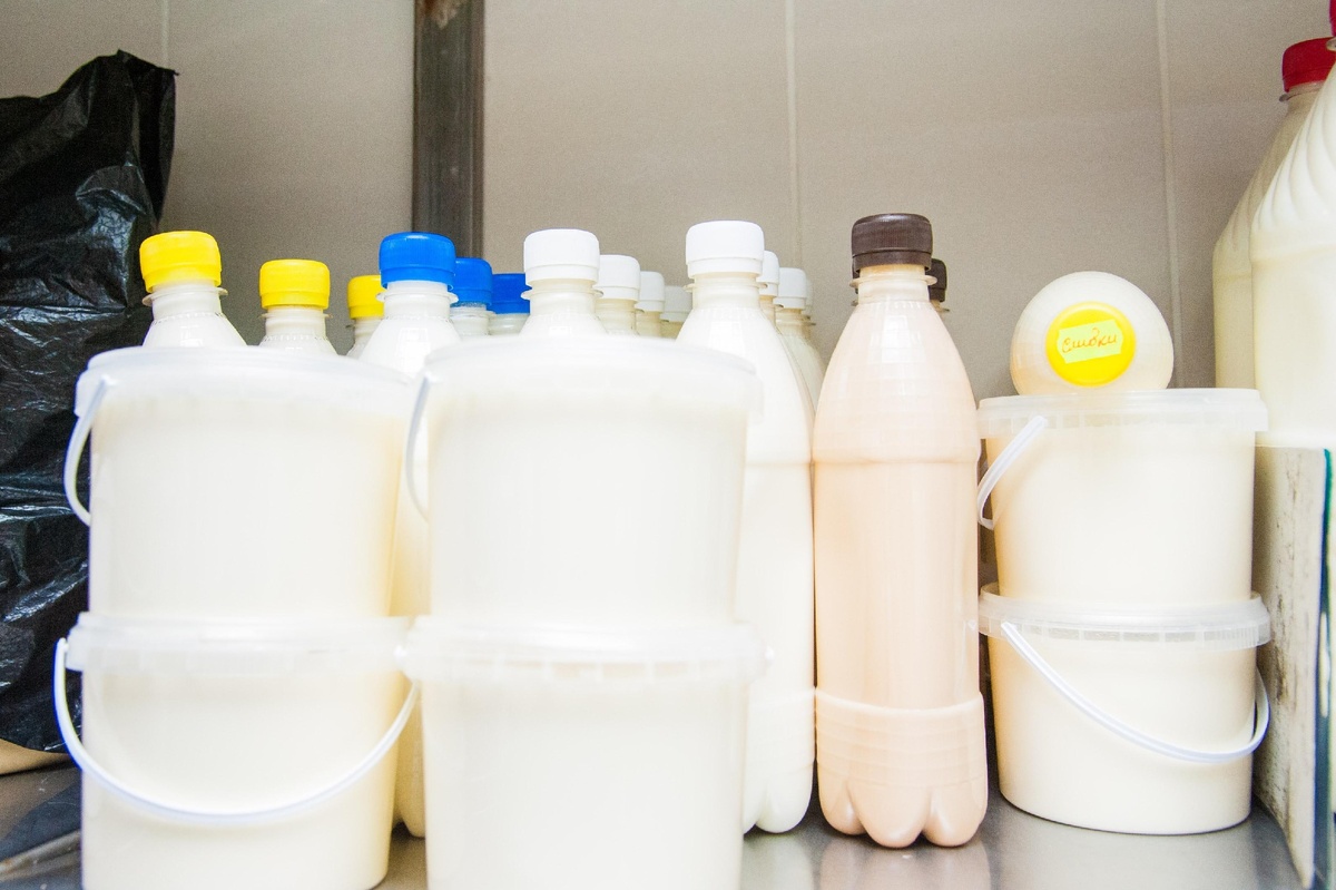 © Фото: ИД «Волгоградская правда»