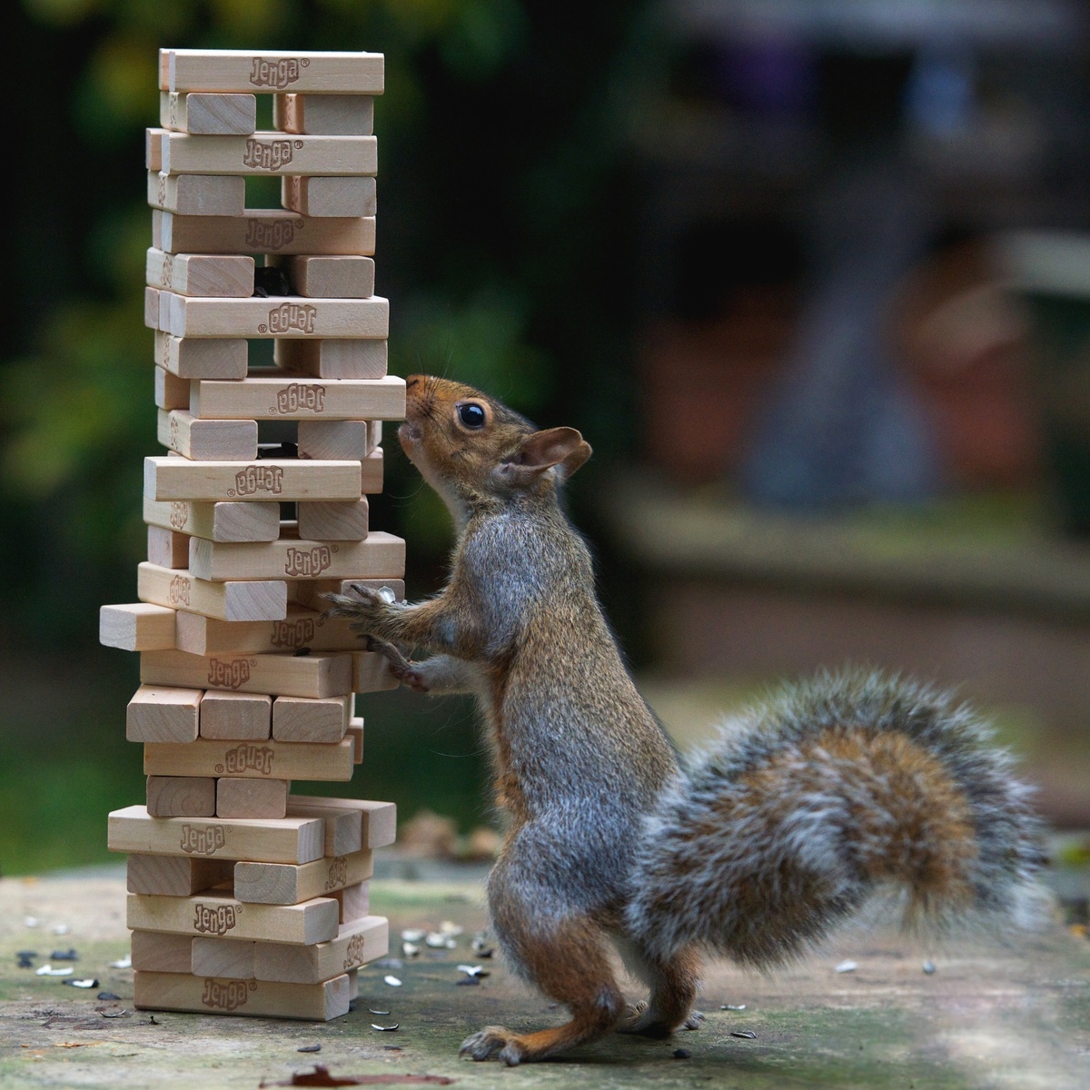 Фото из открытых источников