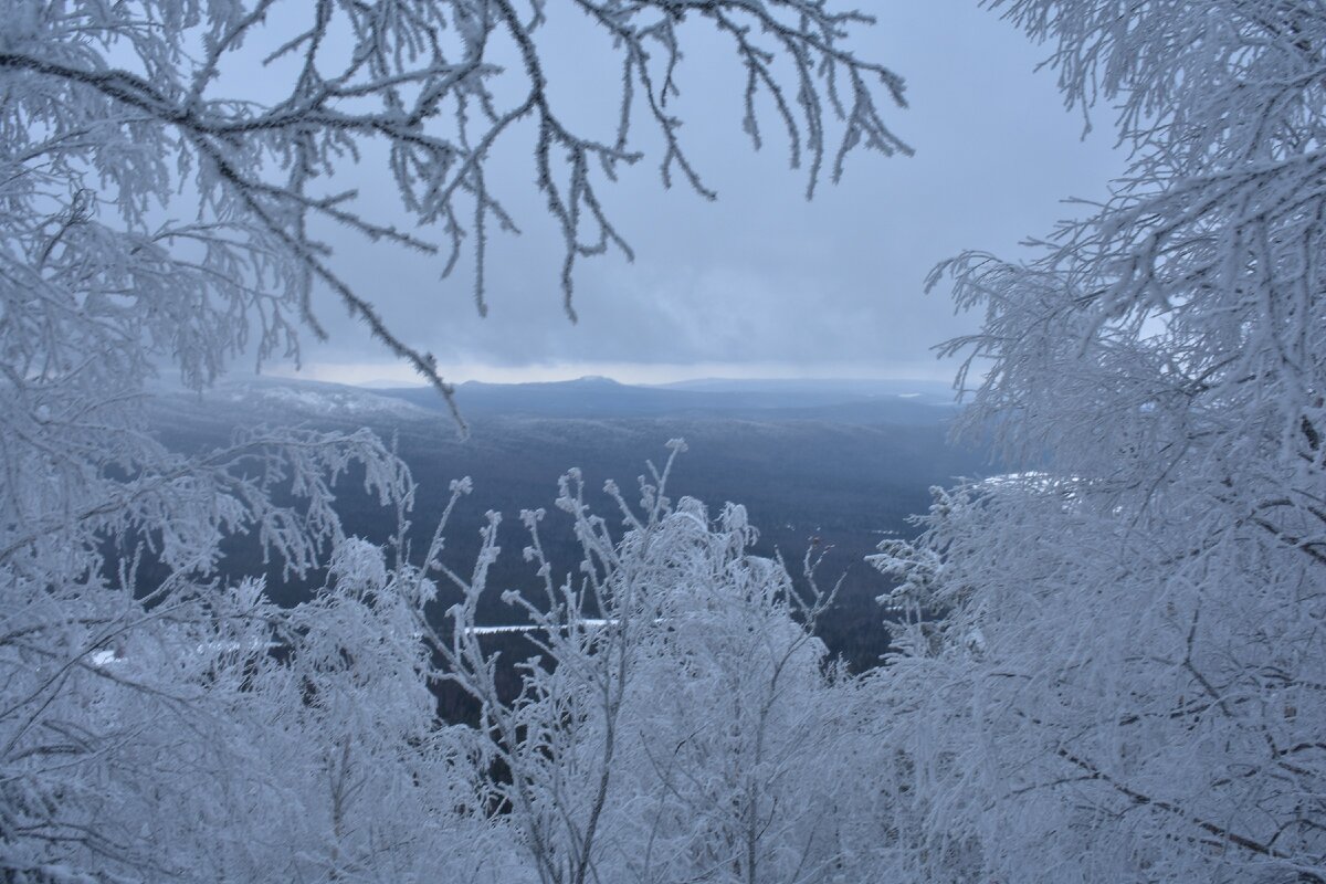 Вид на Златоуст с предгорий Двуглавой Сопки