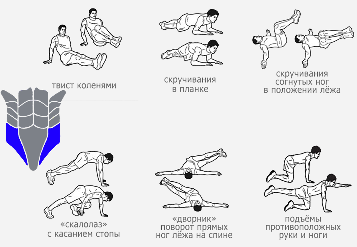 Спортзал. Тренировка 36. Тренировка в спортзале. Тренировка в спортзале. Упражнения для пресса для мужчин.