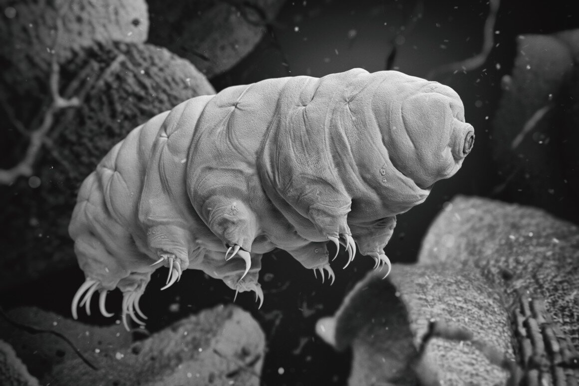 Источник: yandex.ru