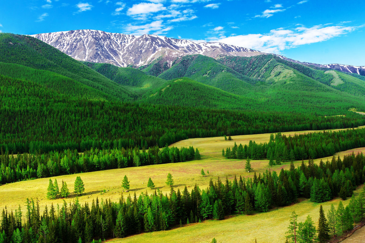 Алтай (Фото Андрея Кузнецова)