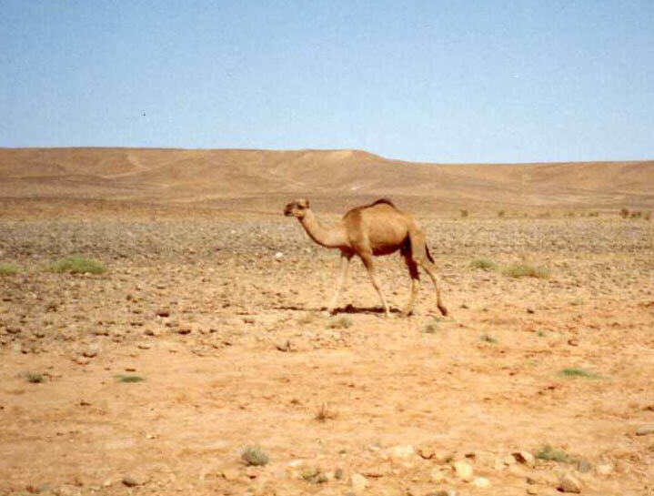 Южносуданские пейзажи по курсу движения наших героев