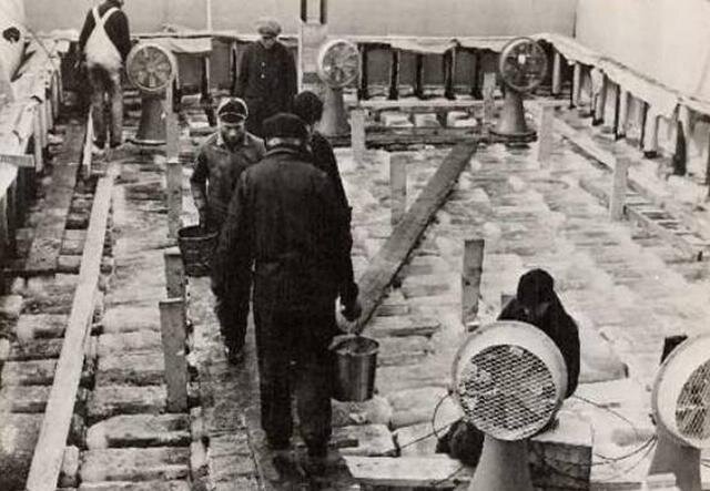 К 1943 году 18-метровое судно было успешно протестировано в летних условиях, но у английского адмиралтейства возникло несколько вопросов к инженерам: они просили увеличить прочность палубы для посадки тяжелых бомбардировщиков и оснастить судно дополнительной защитой против торпед немецких субмарин. Для этих доработок необходимо было усиливать металлический каркас судна, что выливалось в дополнительные денежные, а главное временные затраты. Проект уже не казался панацеей от превосходства Германии на море, тем более что к концу 1943 года ситуация в войне обернулась в пользу союзников. Британии наконец-то удалось преодолеть дефицит стали и наладить выпуск дешевых авианесущих кораблей. Необычный проект был постепенно забыт и остался лишь в виде чертежей. Тестовый же экземпляр корабля вскоре растаял, оставив после себя металлический каркас-скелет.