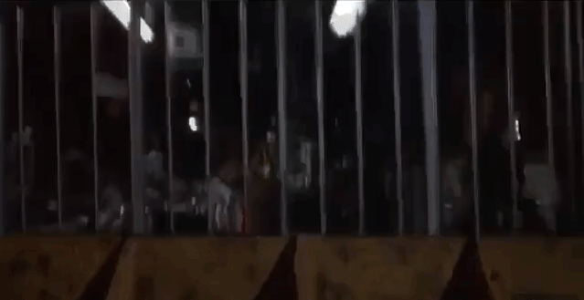 "Конан-Варвар" в действии...то бишь "Джон-Варвар"...