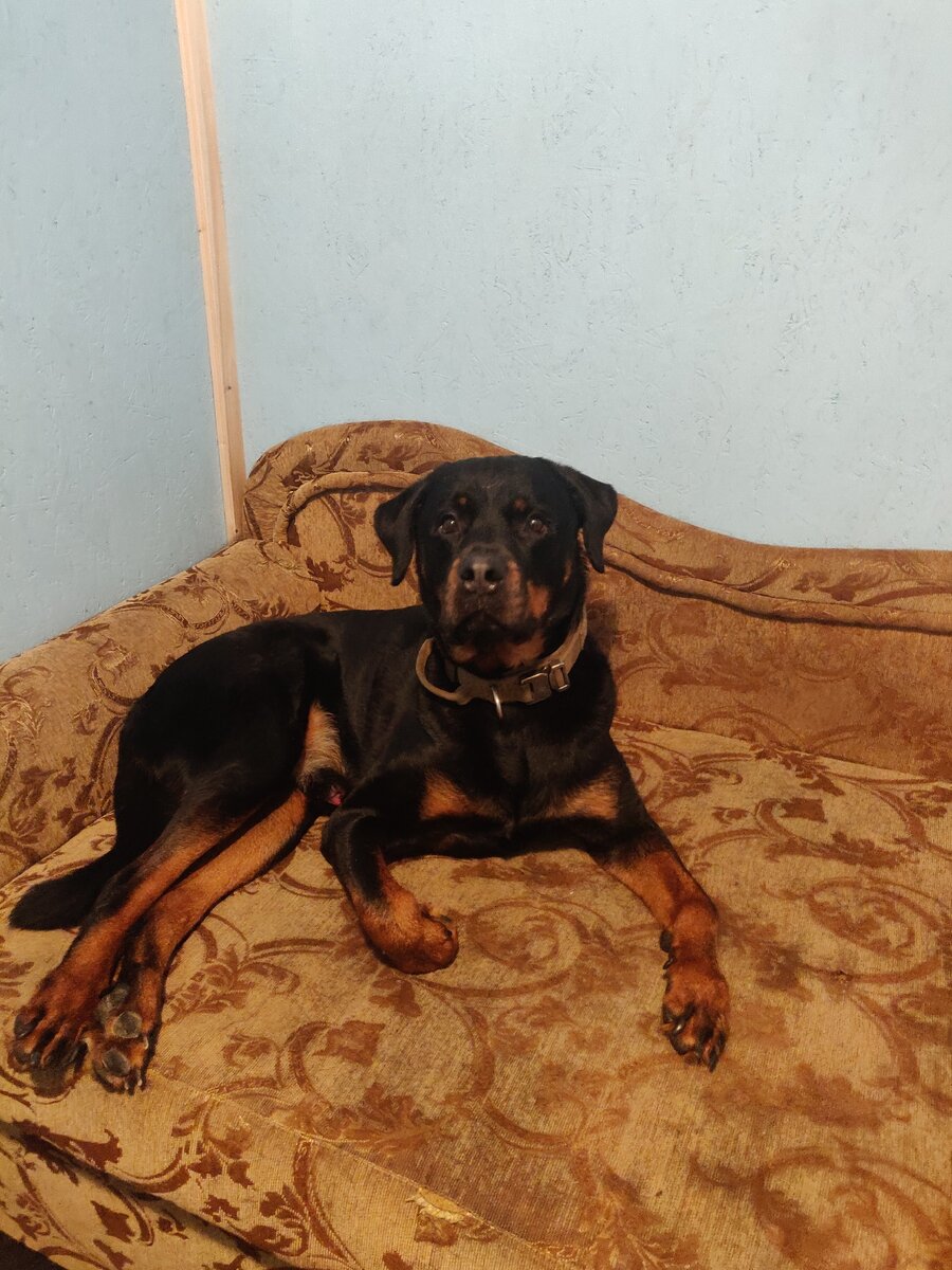 Вот в таких апартаментах Зевс встречал Новый Год!