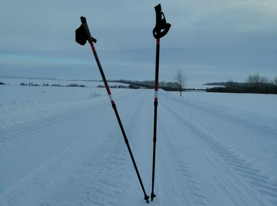 С помощью этих самых палок я прохожу 10-20 километров. По времени это занимает от двух до четырех часов. В то же время для здоровья достаточно и 20-40 минут