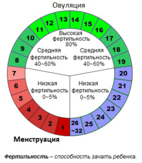 Секс во время месячных: что нужно знать ← FREEDOM / Фридом — Россия