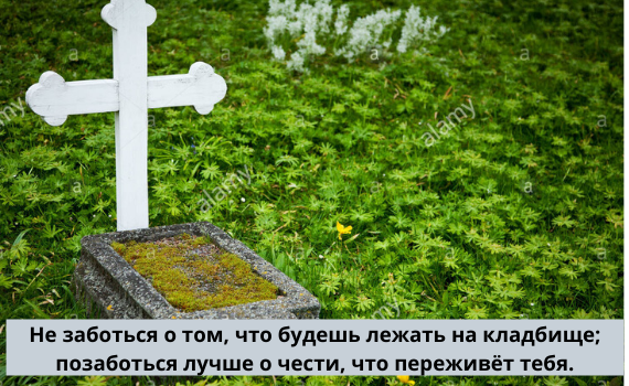 фото взят: Яндекс картинки