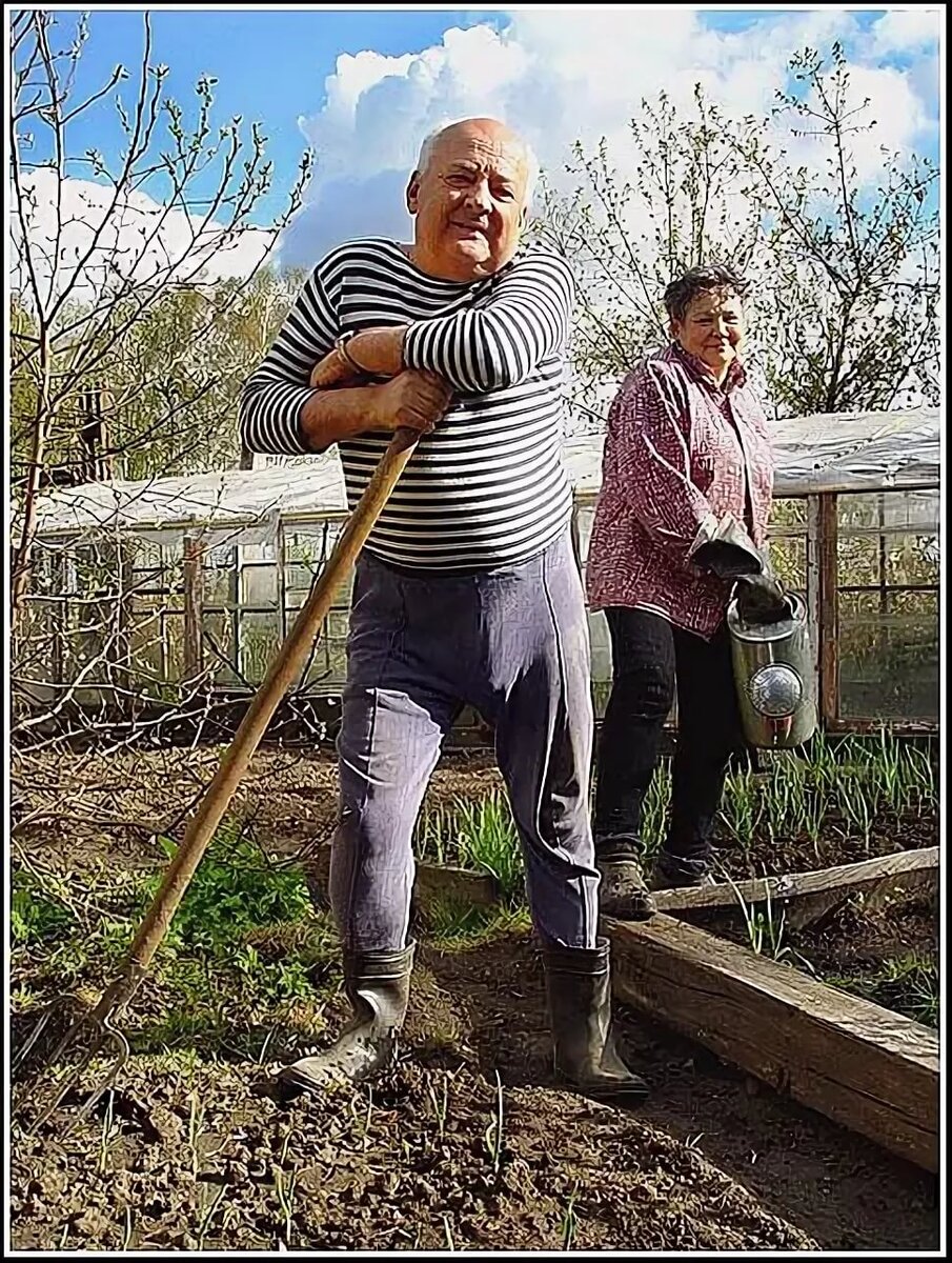 Толстый дед бабушки. Пенсионеры на даче. Пенсионеры в огороде. Дедушка в огороде. Мужчина в огороде.