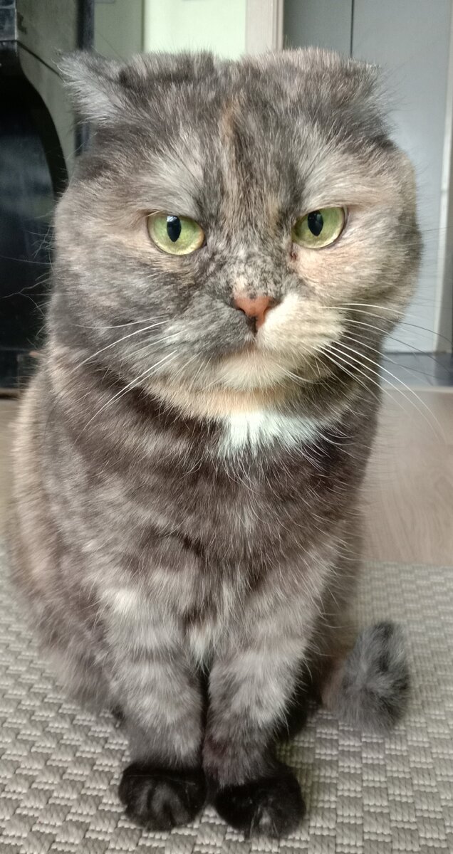 Фото автора. Я же предупреждала