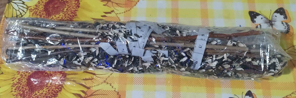 Размеры черенков