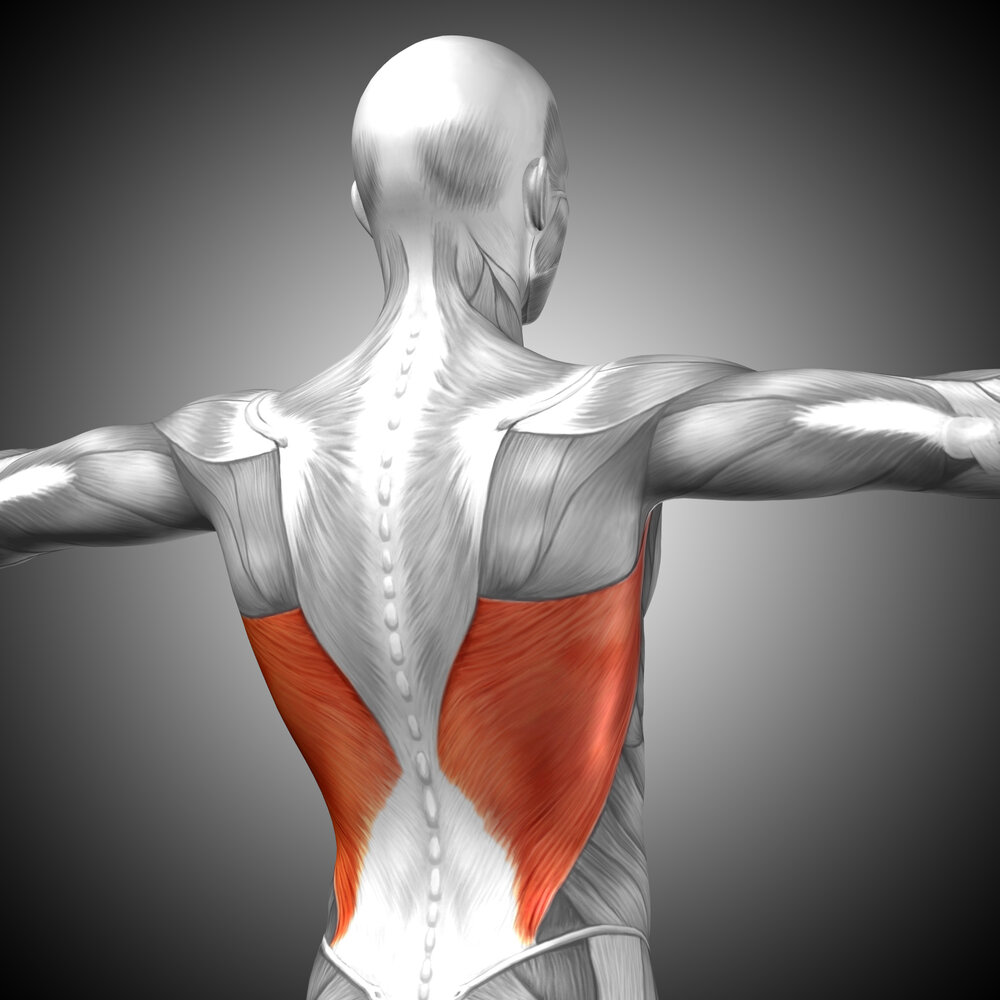 10 упражнений для спины, эффективность которых подтверждена учёными - Лайфхакер