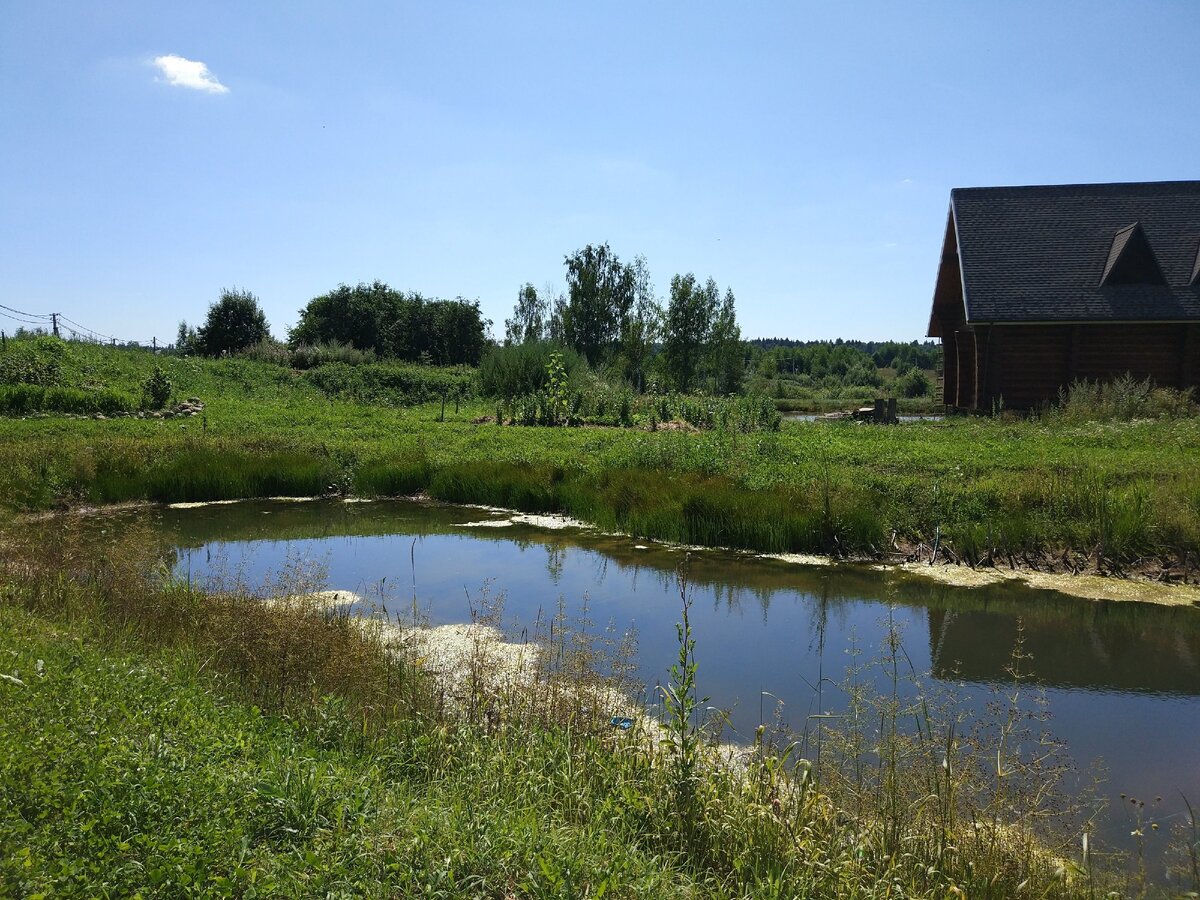Тверская область вымирающие деревни. Проект деревни будущего. Передовая деревня. Передовая деревня. Деревня быково тверская область.