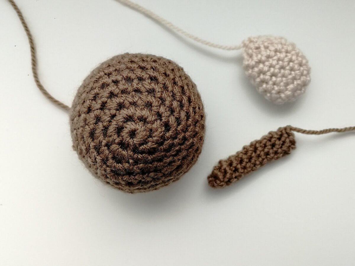 Голова, мордочка и хвост