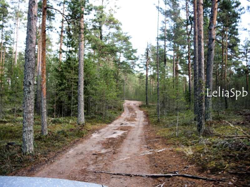 Фото из личного архива. Проехать сможет любая машина.