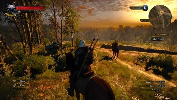 The Witcher 3: Wild Hunt