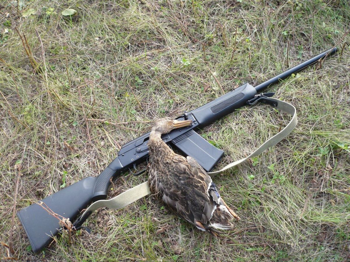 Сайга 12 охотничий вариант