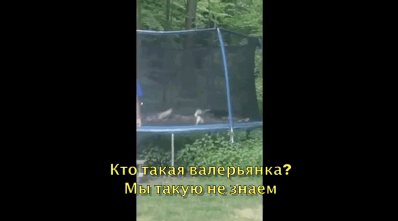 Бойцовский клуб