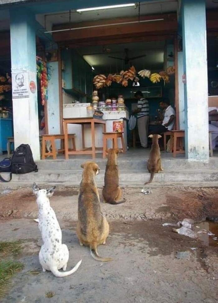 Фотография из интернета, свободный источник.