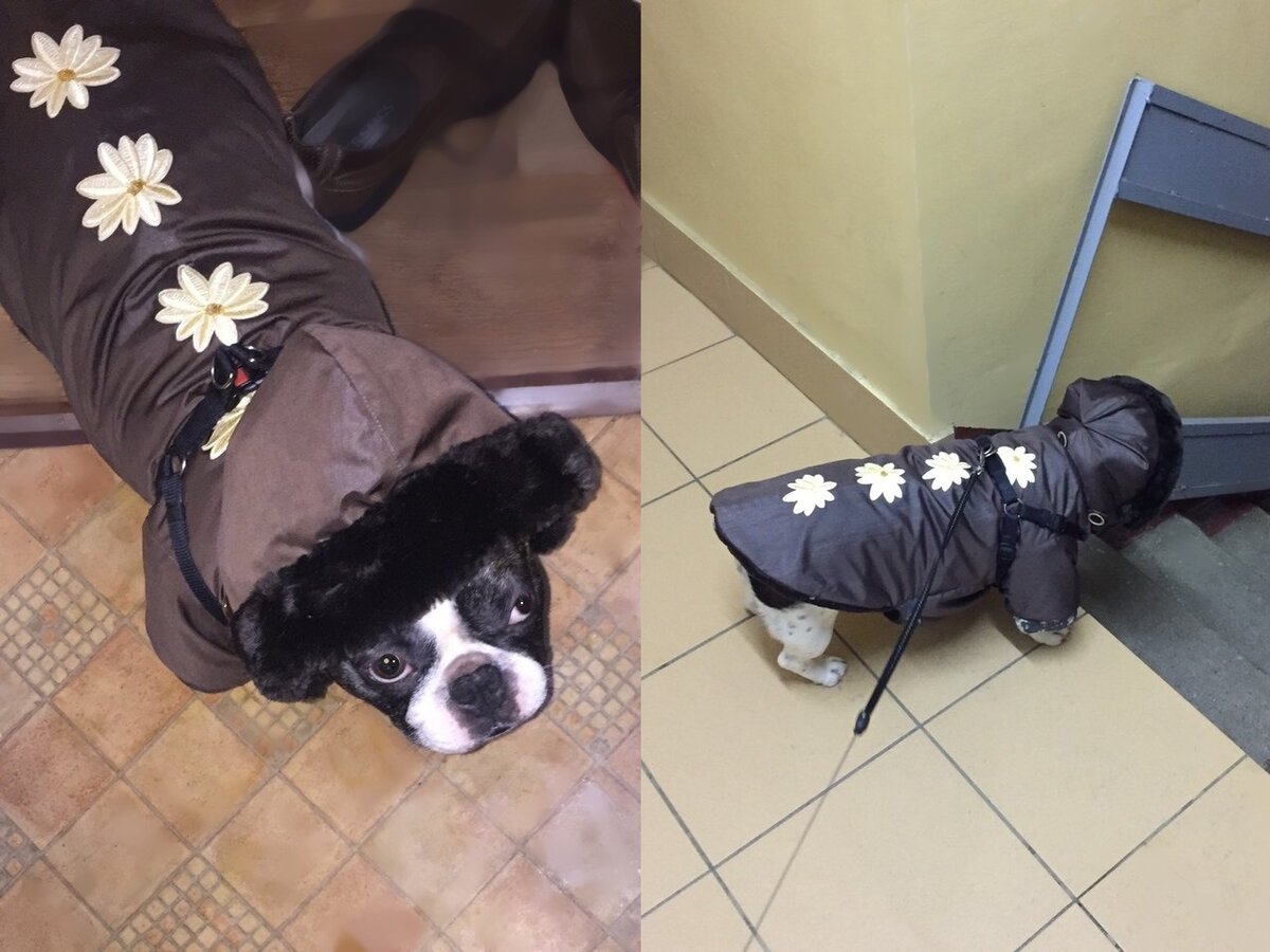 Герда пошла гулять